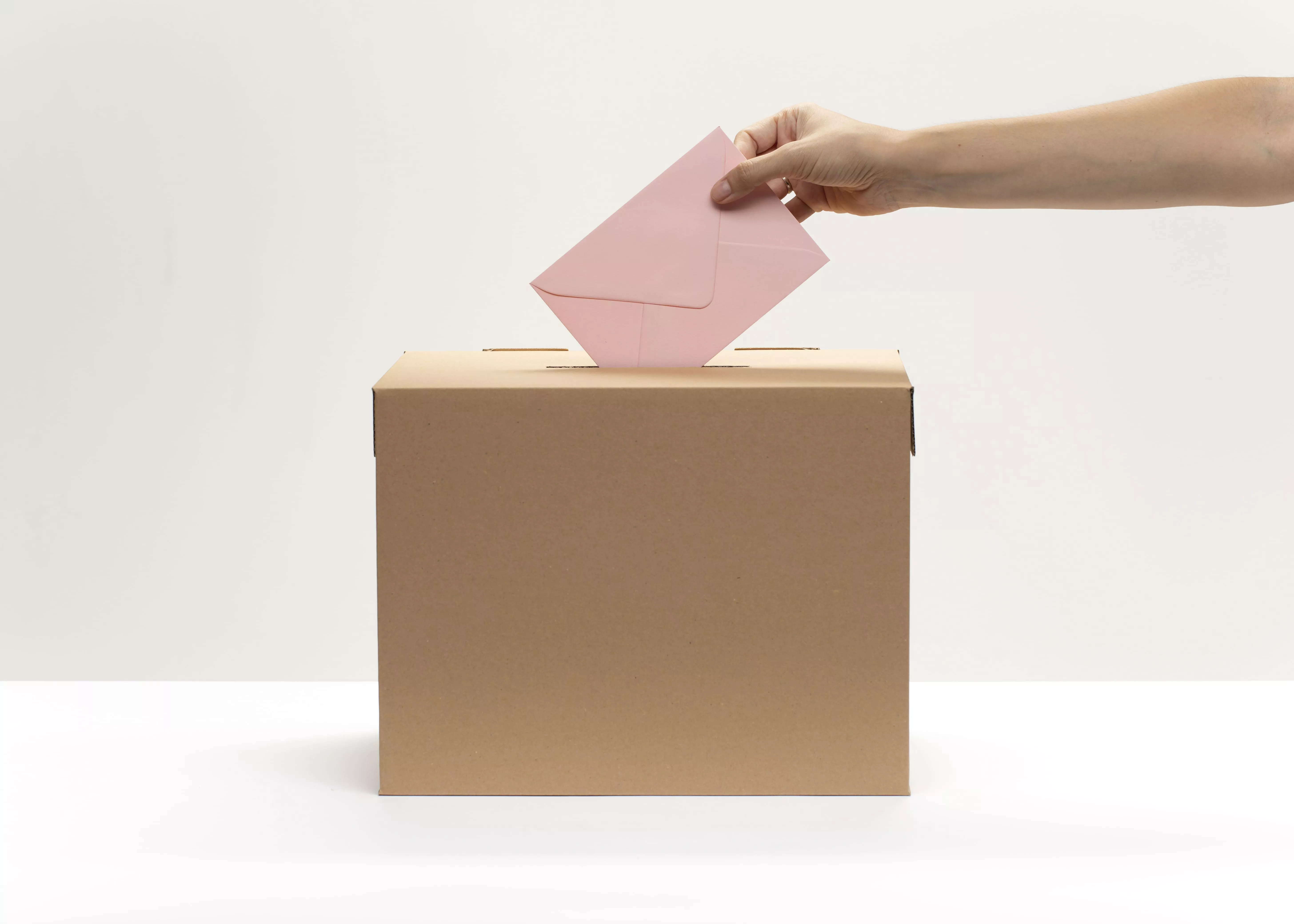 Aggiornamento dell'albo delle persone idonee all'ufficio di Presidente di seggio elettorale